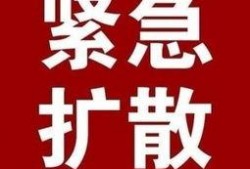 大爆料最新消息新闻,最新独家新闻震撼来袭，揭秘事件背后惊人真相！