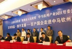 钦州一中爆料新闻视频,揭秘校园热点事件背后的真相