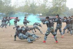 最新军训爆料视频大全集,揭秘军营生活瞬间