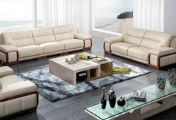 真皮沙发爆料视频,视频爆料揭示惊人真相